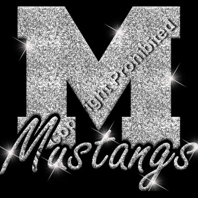 GLT61 SILVER GLITTER Thumbnail